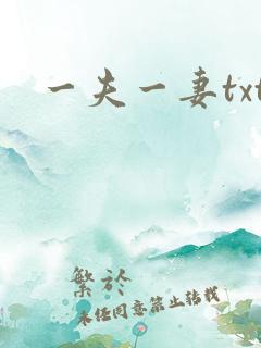 一夫一妻txt