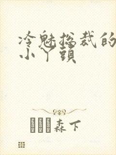 冷魅总裁的纯纯小丫头