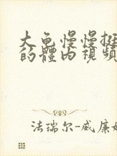 大龟慢慢挺进我的体内视频