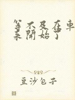 等不及在车里就来开始了