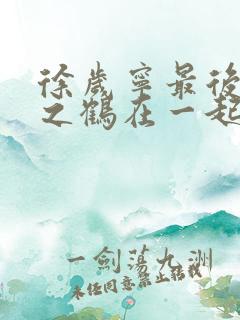 徐岁宁最后和洛之鹤在一起了吗