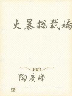 火暴总裁娇柔妻