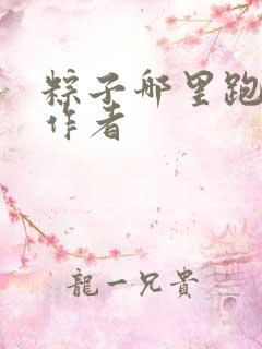 粽子哪里跑小说作者