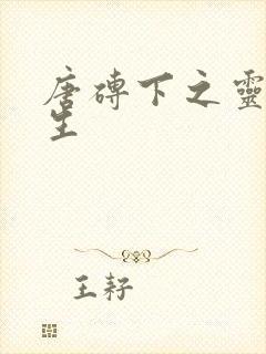 唐砖下之灵域双生