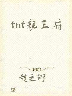 tnt亲王府
