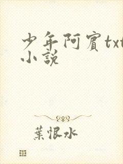 少年阿宾txt小说