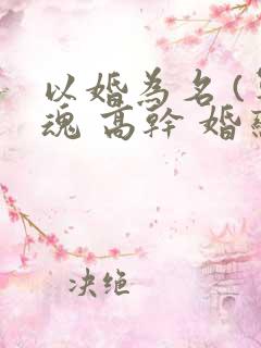 以婚为名 (军魂 高干 婚恋)