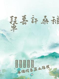 段嘉许桑稚浴室车