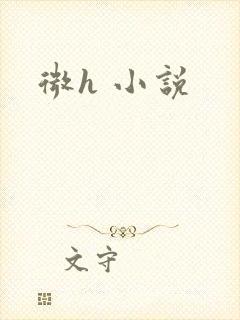 微h 小说