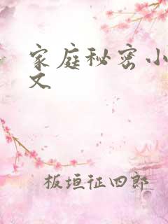 家庭秘密小说全文