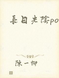 长日光阴po