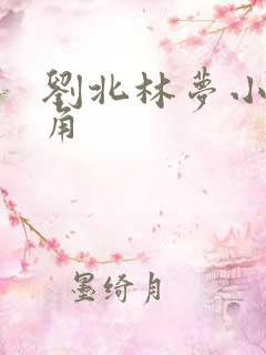 刘北林梦小说主角