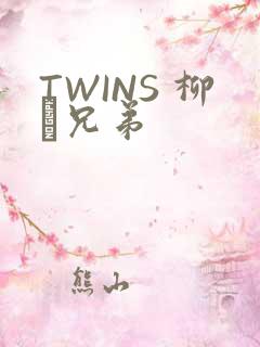 TWINS 柳澤兄弟
