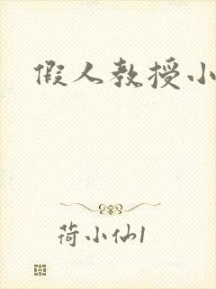 假人教授小说