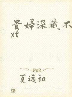 贵妇深藏不露txt