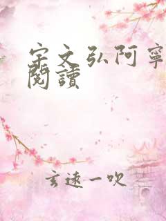 宇文弘阿宁全文阅读