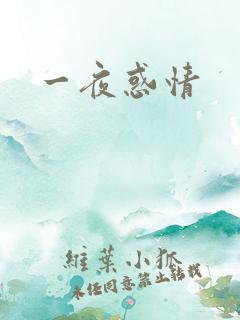 一夜惑情