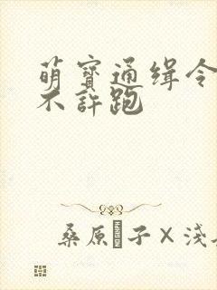 萌宝通缉令妈味不许跑