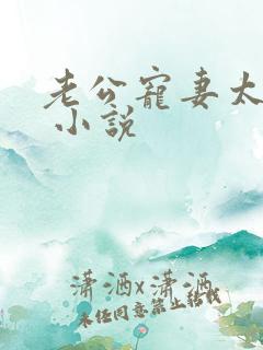 老公宠妻太甜蜜 小说