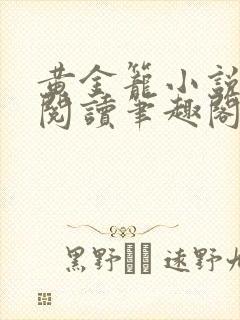 黄金笼小说免费阅读笔趣阁无弹窗