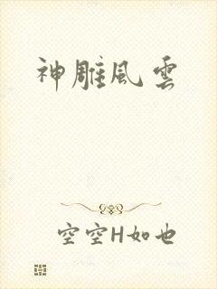 神雕风云