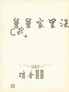 舅舅家里没人快C我