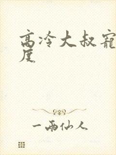 高冷大叔宠妻无度