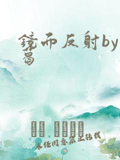 镜面反射by九葛