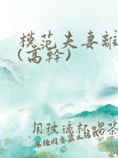 模范夫妻离婚了(高干)