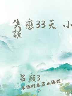失恋33天 小说