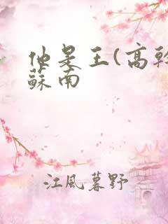 他是王(高干)苏南