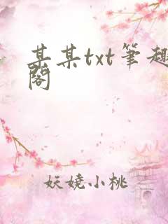 某某txt笔趣阁