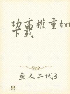 功高权重txt下载