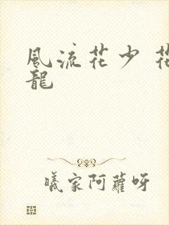 风流花少 花睿龙