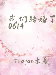 我们结婚了130614