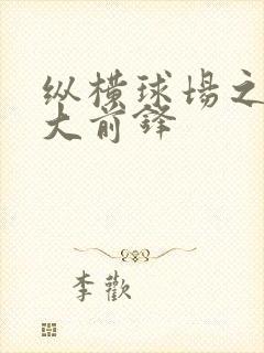 纵横球场之暴力大前锋