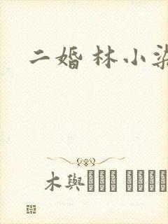 二婚 林小染