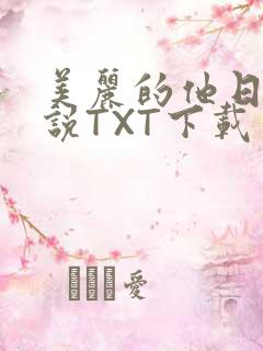 美丽的他日剧小说TXT下载