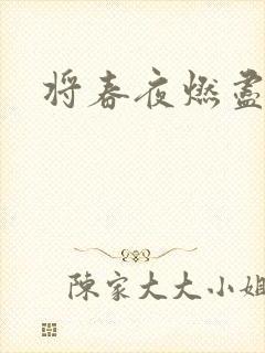 将春夜燃尽