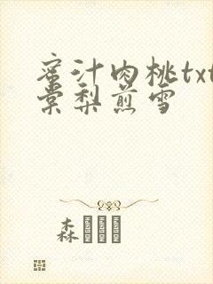 蜜汁肉桃txt棠梨煎雪