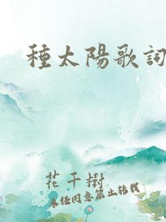 种太阳歌词