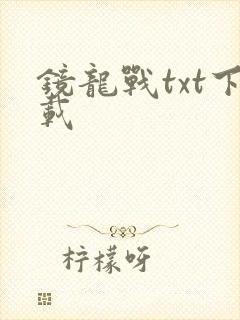 镜龙战txt下载
