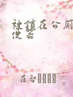 被锁在公厕当坐便器