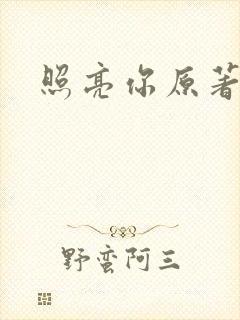 照亮你原著小说