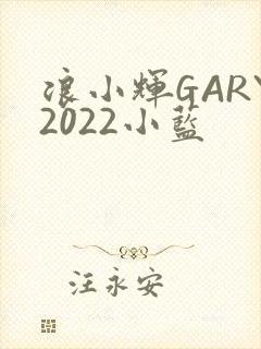 浪小辉GARY2022小蓝