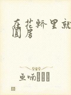 在花轿里就开始圆房