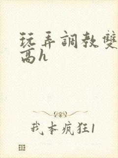 玩弄调教双胞胎高h