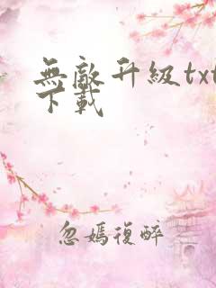 无敌升级txt下载