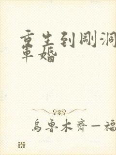 重生到刚洞房的军婚