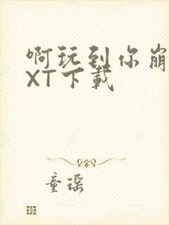 啊玩到你崩溃TXT下载